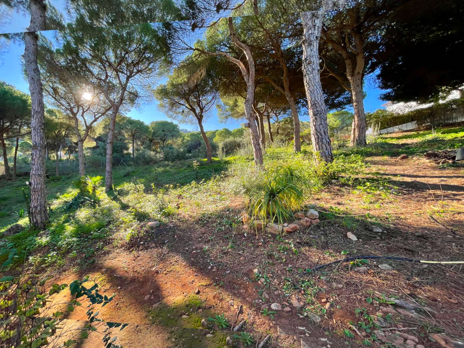 Villa in vendita a Alhaurín de la Torre