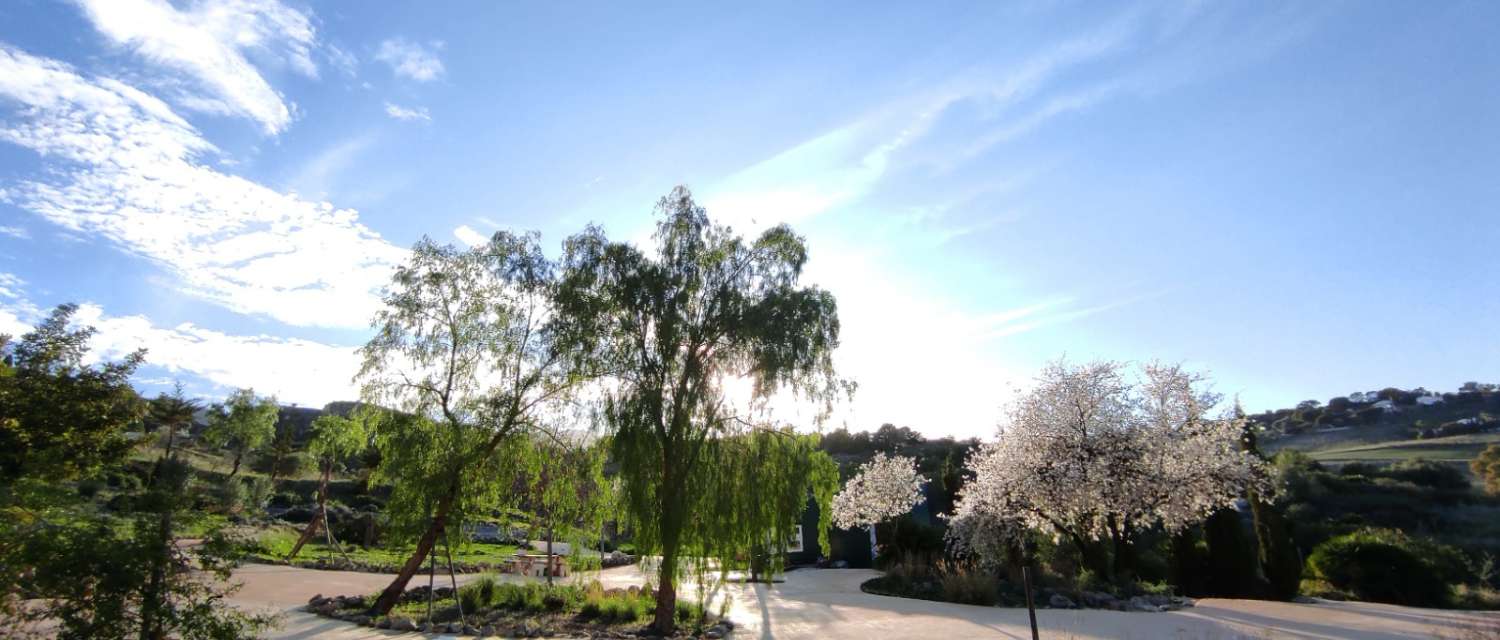 Parcelle en vente à Alhaurín de la Torre