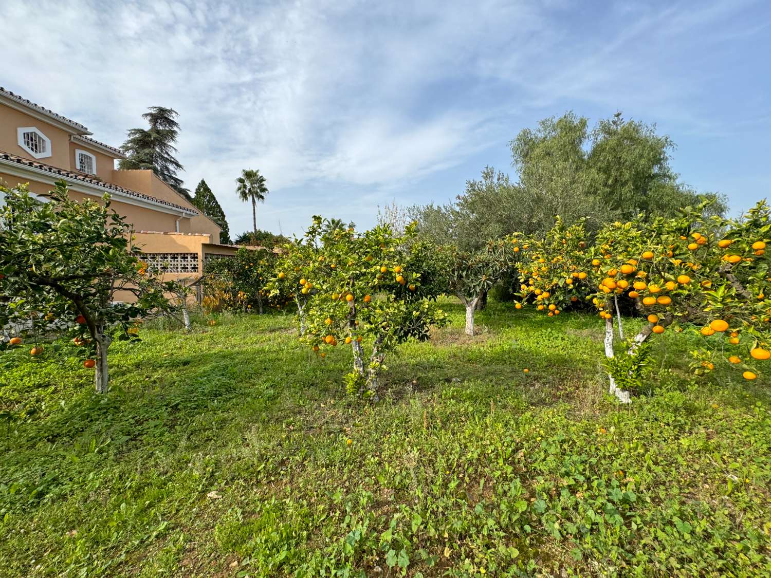 Villa till salu i Alhaurín de la Torre