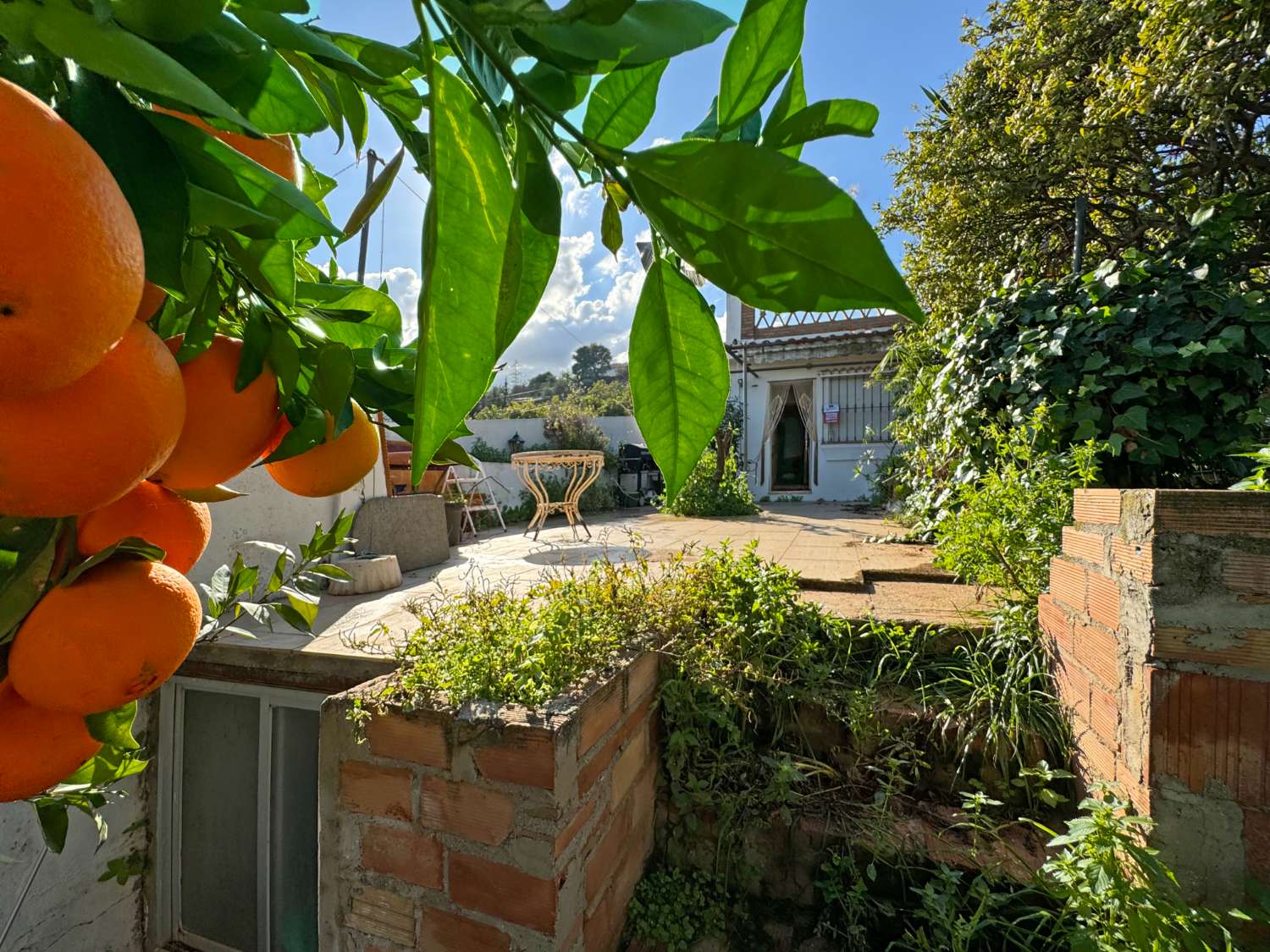 Oportunidad! Chalet independiente en el Romeral.