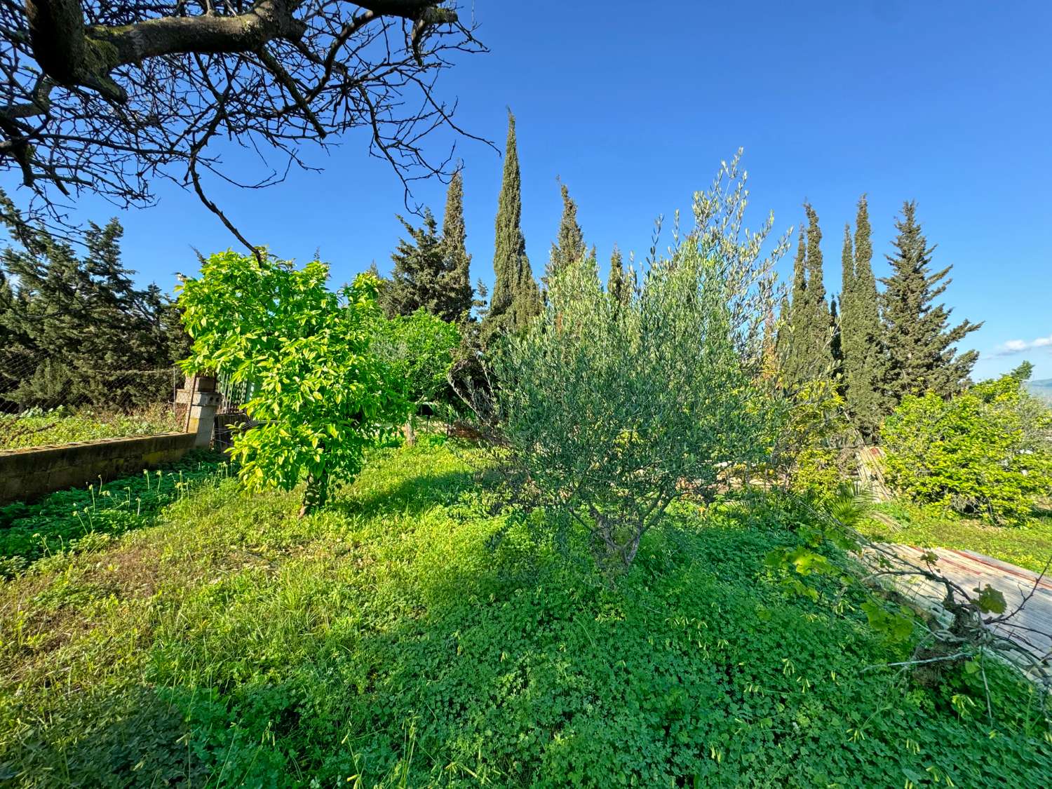 Oportunidad! Chalet independiente en el Romeral.